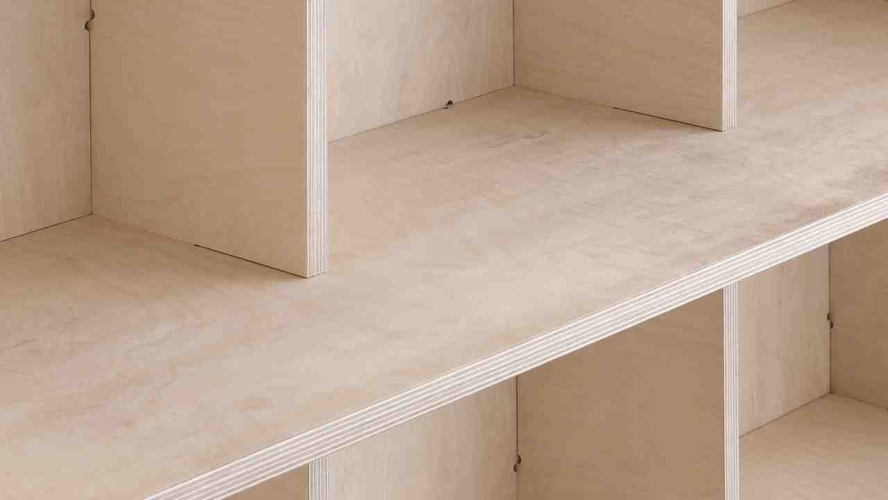 Fin Bookshelf